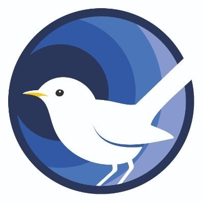 Castleward Spencer Academy logo 2